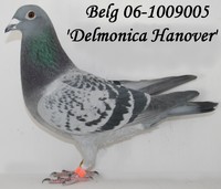 Delmonica Hanover
